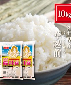 福井県産 華越前 お米 10kg（5kg×2） ハナエチゼン はなえちぜん 5キロ 精米 白米 おくさま印 食品 国産 10キロ